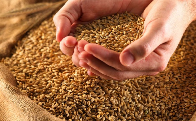 Новость Практически 2 миллиона тонн зерна намолотили на Херсонщине