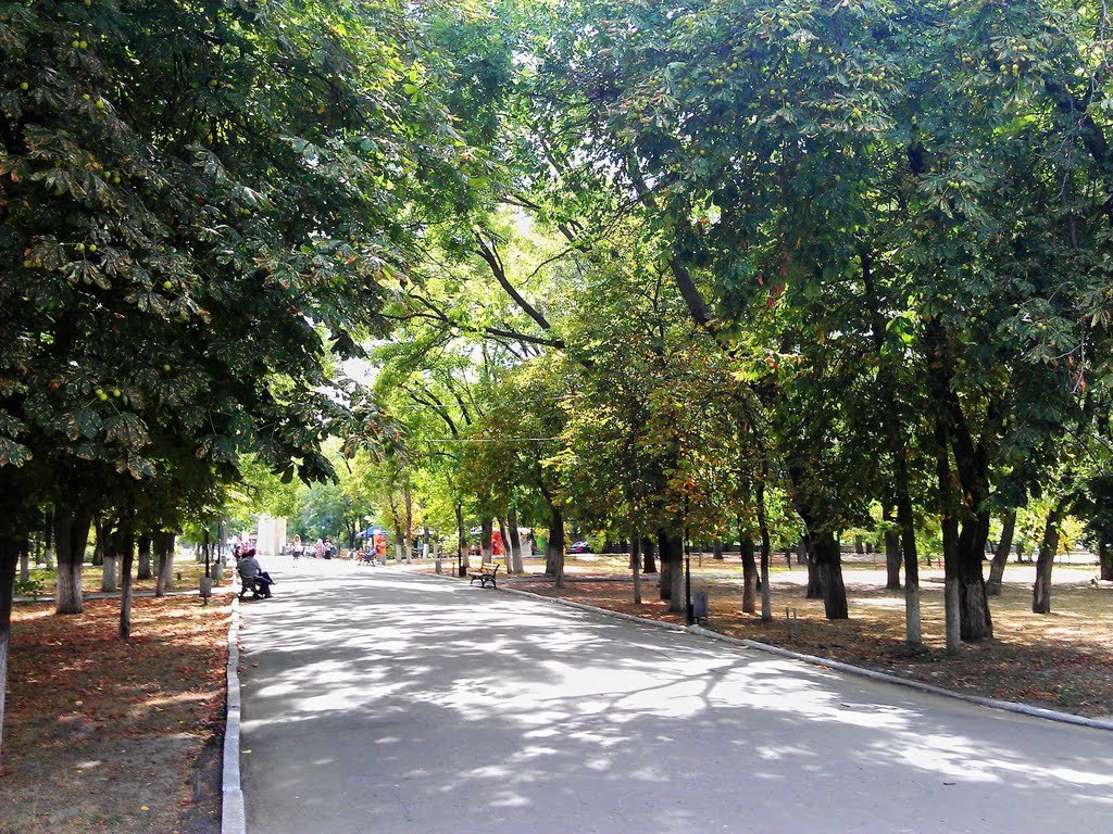 Херсонские парки перейдут в коммунальную собственность?