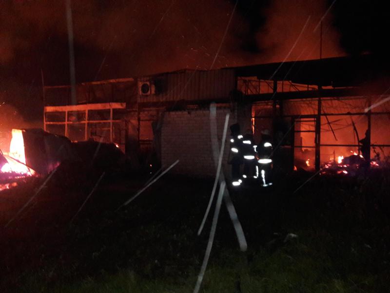 В масштабном пожаре на Херсонщине погибла женщина