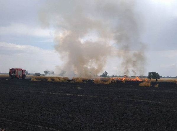 пожежники врятували пшеницю