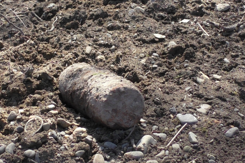 Олешковские лесники обнаружили взрывоопасный предмет