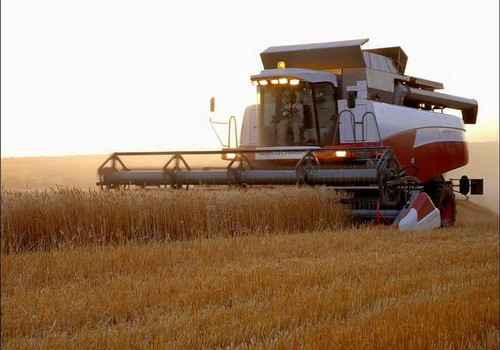 Новость Сбор зерновых на Херсонщине продолжается