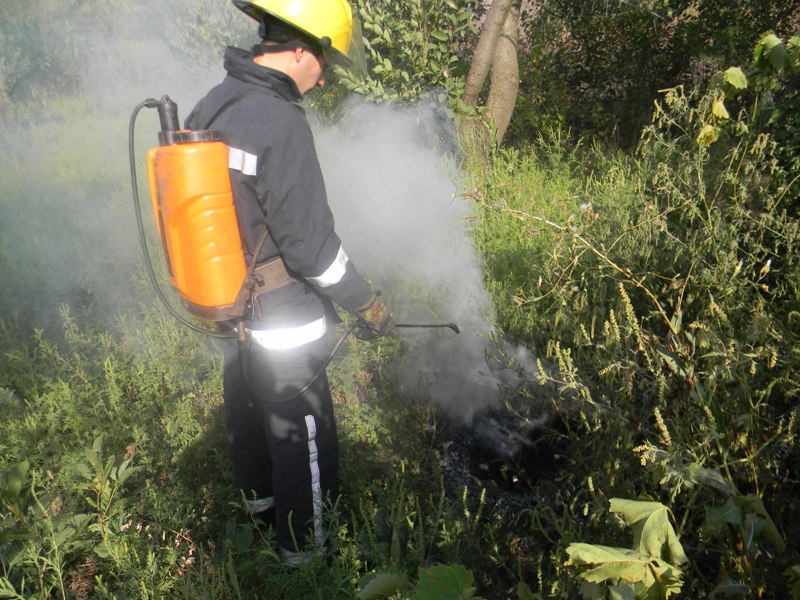 В Херсонской области вчера случилось 16 возгораний сухостоя