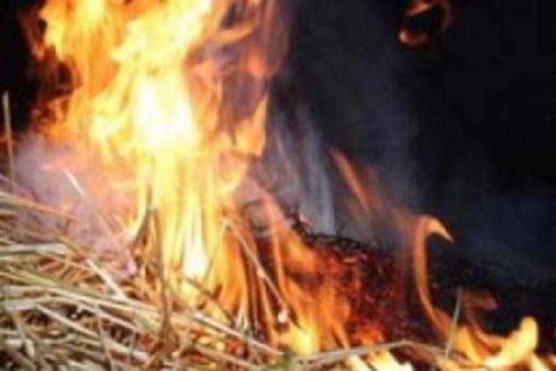 На Херсонщине сгорел сарай с 7 тоннами сена
