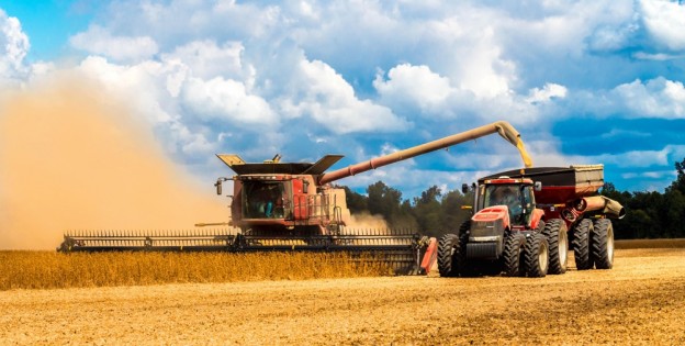 Новость Херсонский зернотрейдер скрыл 1,8 миллиона гривен НДС