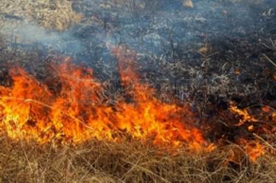 В Новой Каховке случилось 6 пожаров