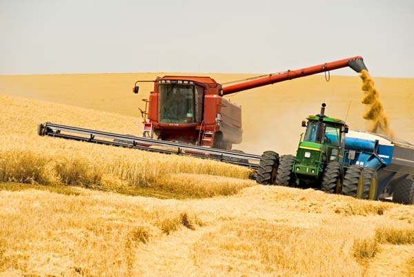 Новость На Херсонщине собрали 2,1 млн. тонн зерна