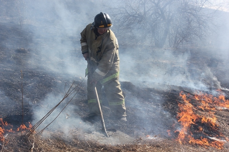За прошедшие сутки на Херсонщине произошло 29 пожаров