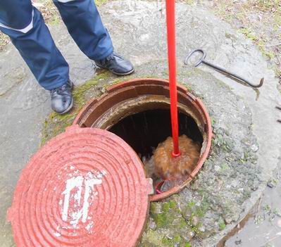 В Новой Каховке проверили состояние противопожарного водоснабжения