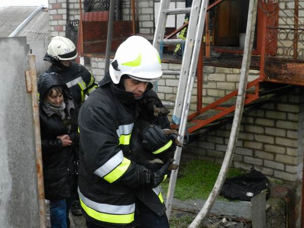 пожежники врятували тварин з палаючого будинку в Херсоні