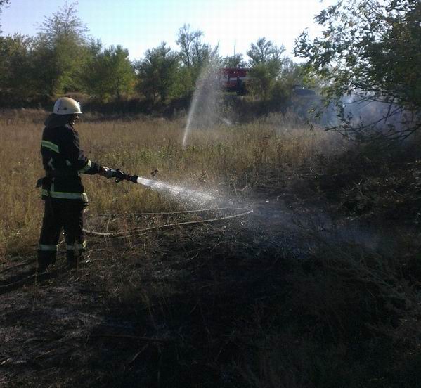 пожарные тушат лес на Херсонщине