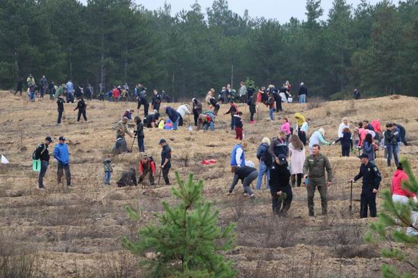 Жители Херсонщины засадили соснами Олешковские пески