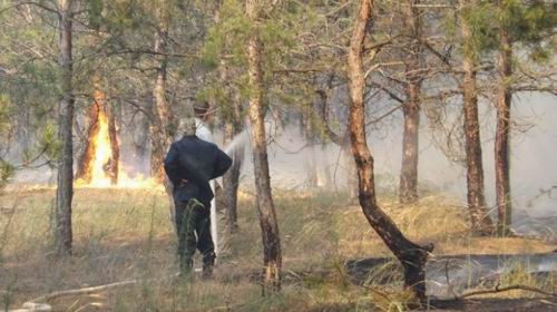 Охрана леса от пожаров под контролем