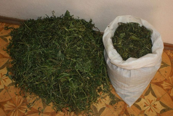 Житель Херсонщины хранил дома 11 кг конопли для «угощения друзей»