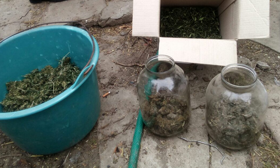 У жителя Чаплинского района изъяли 2,5 кг каннабиса
