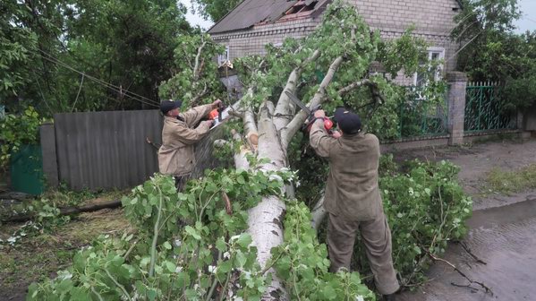 Поваленные деревья в Олешковском районе