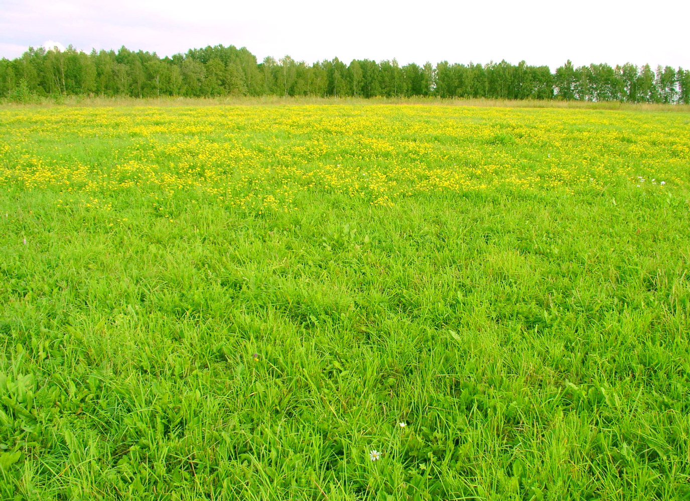 Новость Государству возвращено 218 гектаров земли на Херсонщине
