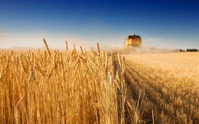 Новость Украинское сельское хозяйство в упадке