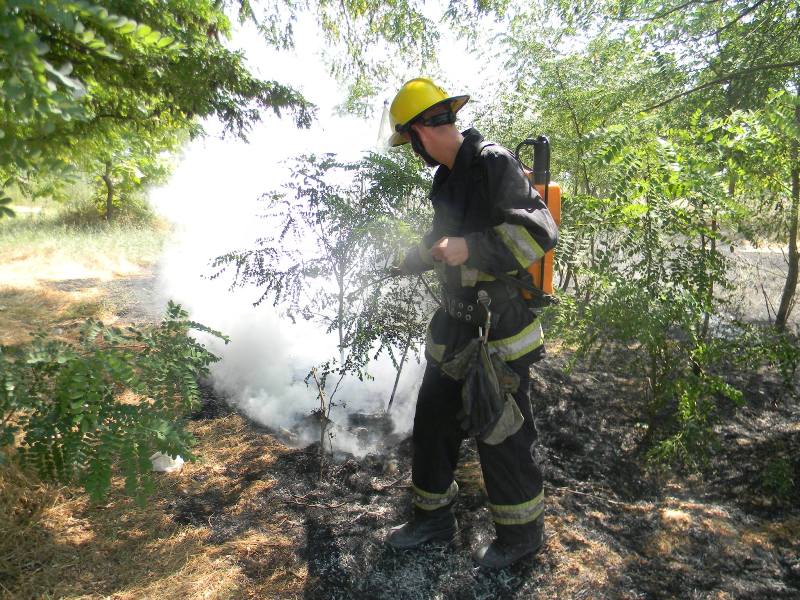 На Херсонщине случилось 39 пожаров в экосистемах за сутки