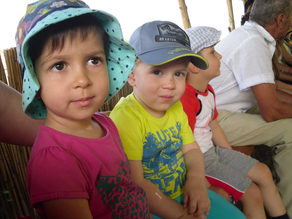 Новость Дети участников АТО посетили «Зеленые хутора Таврии»