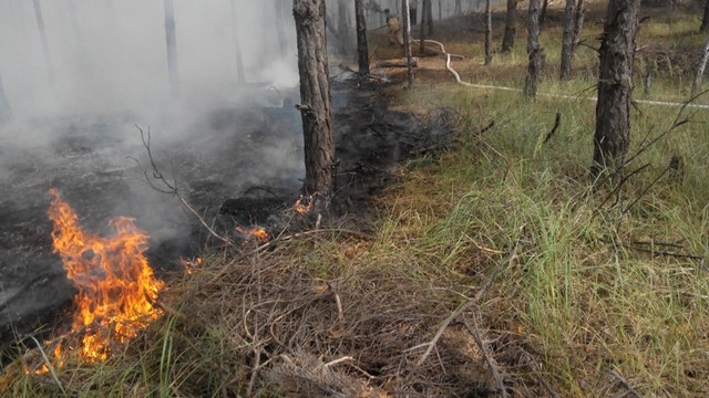 Ликвидирован пожар возле Олешек
