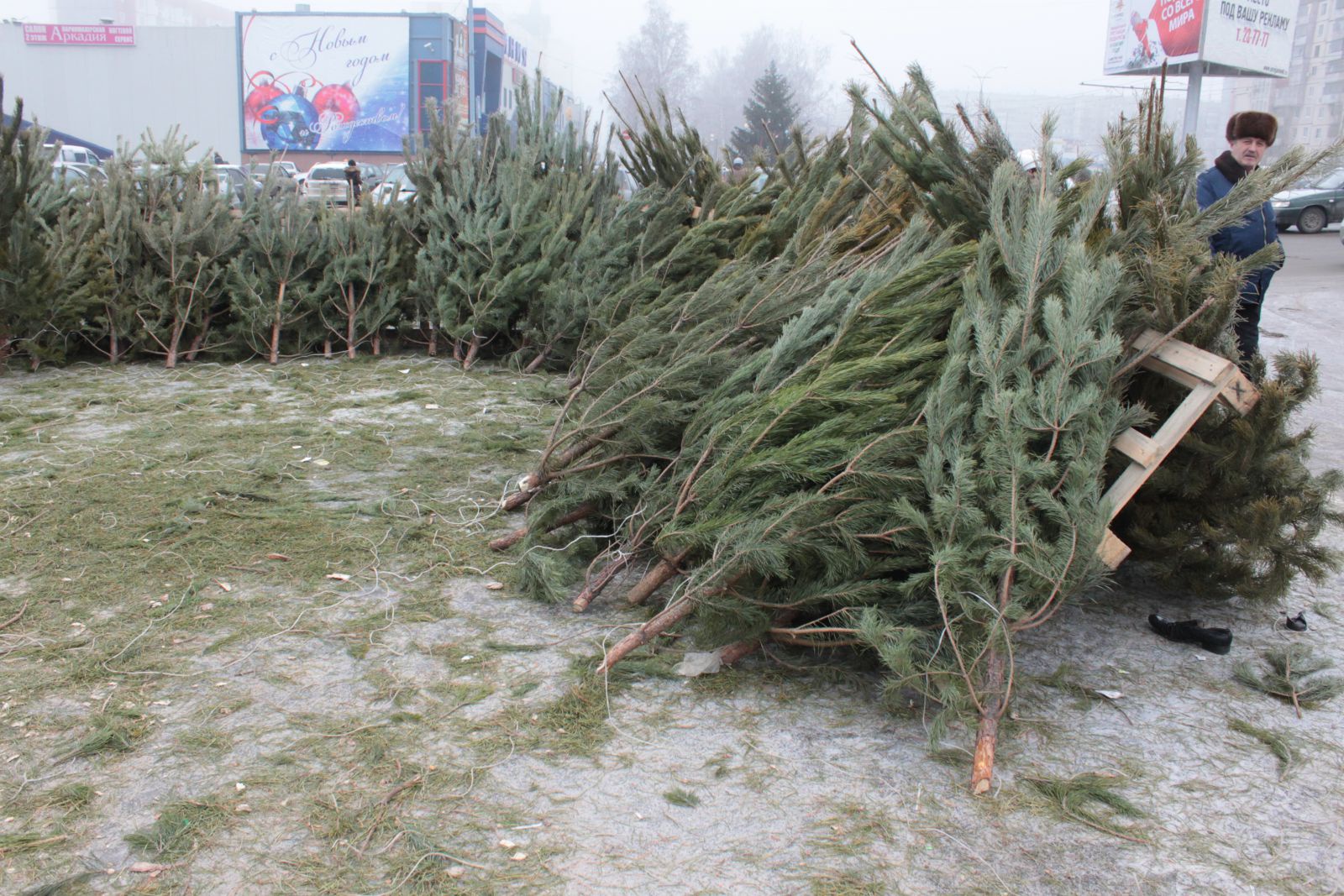 Новость В Херсоне провели рейд по ликвидации стихийной торговли новогодними елками