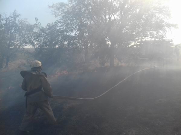 Пожар в лесу Берислав