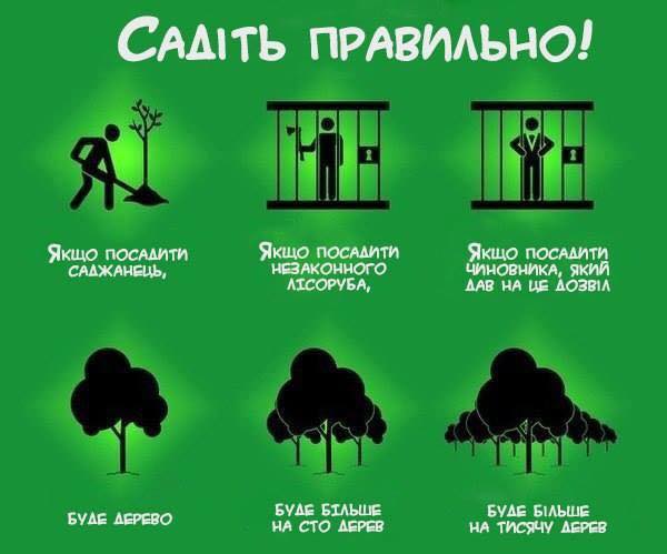 Посади дерево или депутата