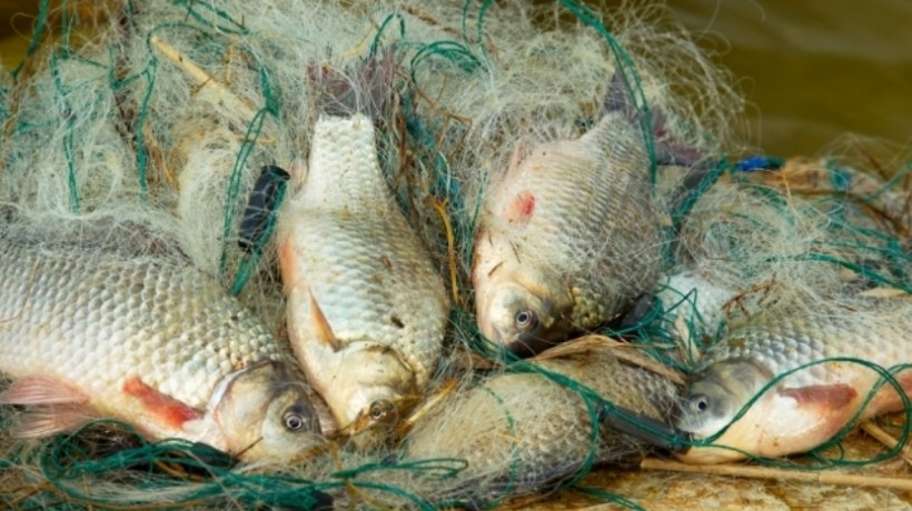 Новость За выходные рыбинспекция Херсонщины задержала 9 браконьеров