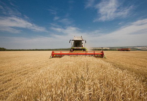 Новость На Херсонщине едва не загорелось поле пшеницы