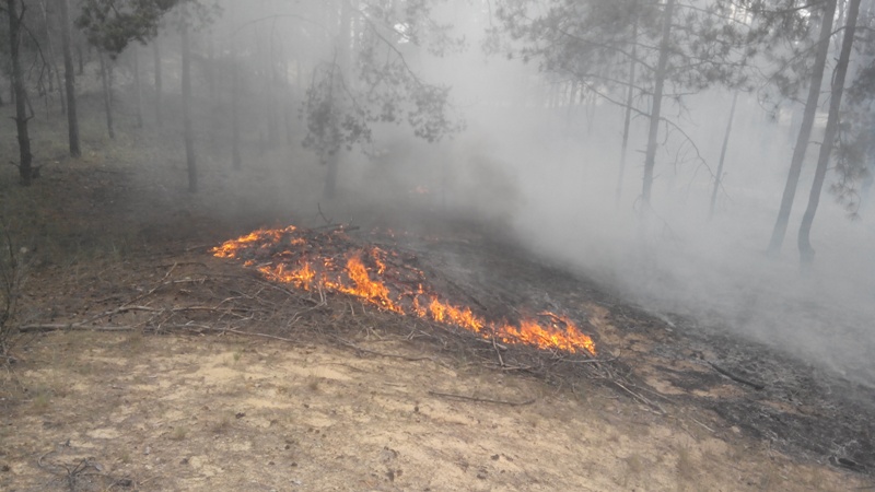 На Херсонщине 14 случаев загорания травы за сутки