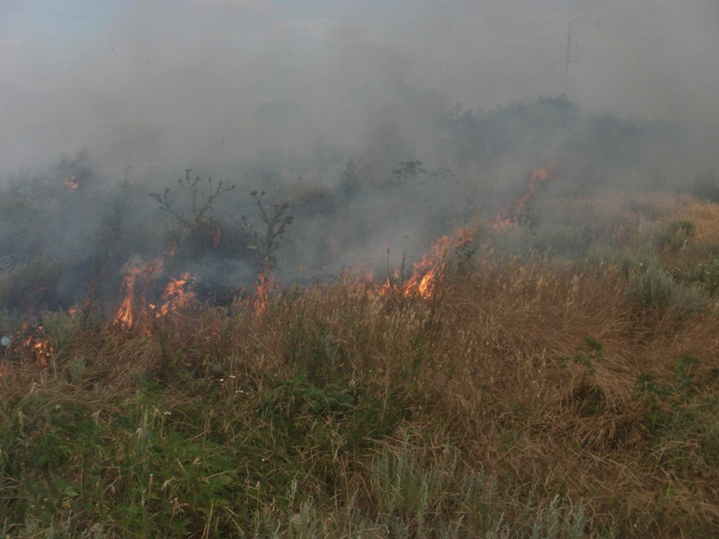В Новотроицком районе горел сухостой