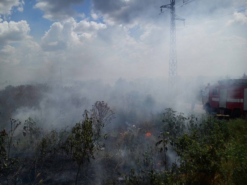 Новость Херсонські рятувальники нагадують про наслідки пожеж в екосистемах