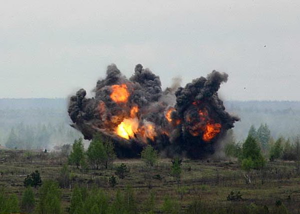 Пиротехники уничтожили боеприпасы, найденные жителями Херсонщины