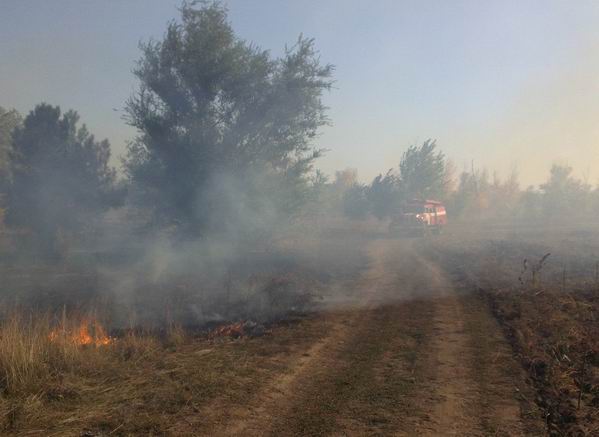 Пожар в Херсонской области около лесополосы