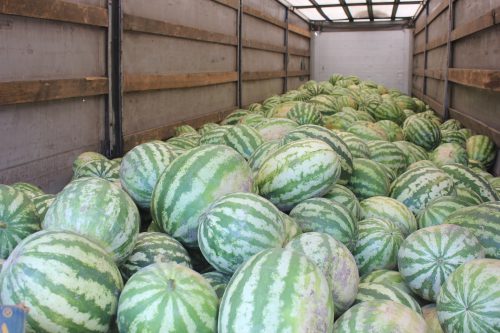 Новость Херсонские фермеры отправили в зону АТО сладкие подарки