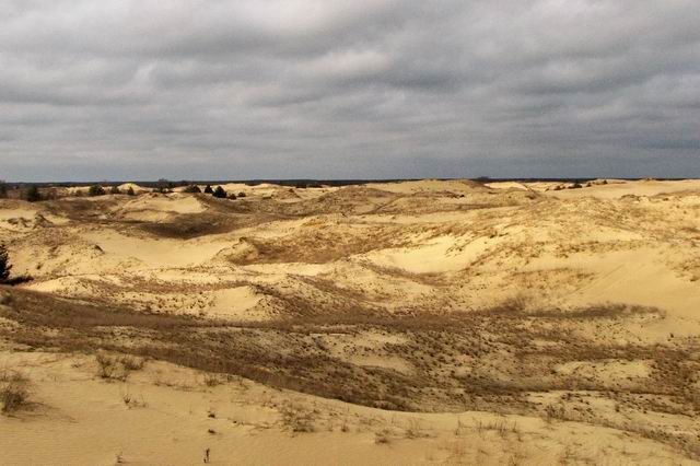 Олешківські піски - диво природи Херсонщини