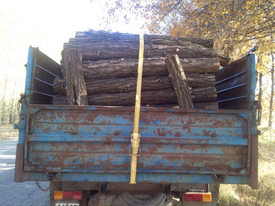 Новость На Херсонщине задержали грузовик с древесиной