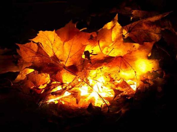 В Херсоне запрещено сжигать листву