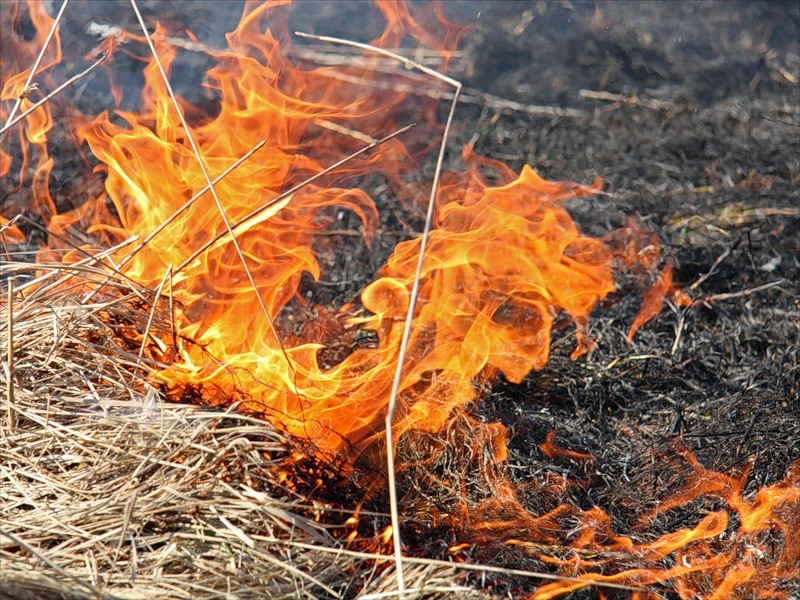 Новость За минулу добу на Херсонщині трапилося 32 пожежі