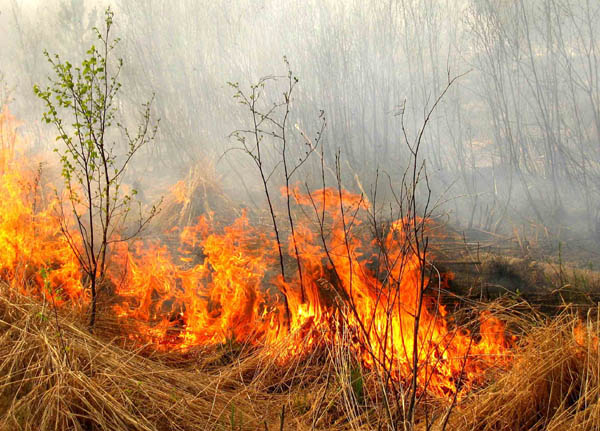 На Херсонщине случилось 36 пожаров за сутки