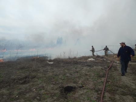 В Скадовске около жилых домов горела сухая трава