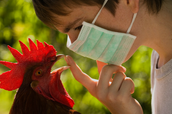 В Херсонской области сняли карантин по птичьему гриппу