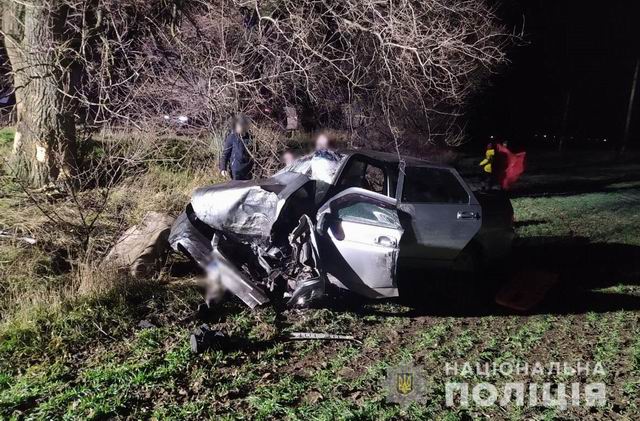 В Херсонской области автомобиль врезался в дерево