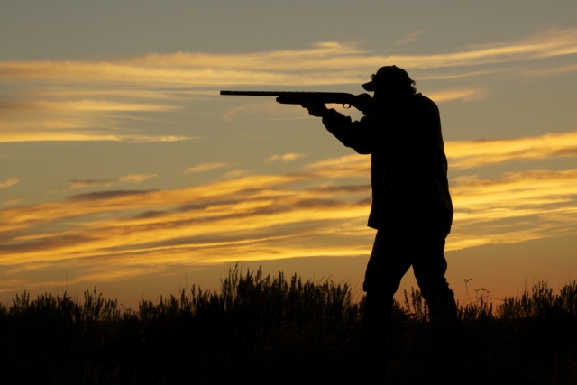 Новость На Херсонщине охотники «подстрелили» женщину