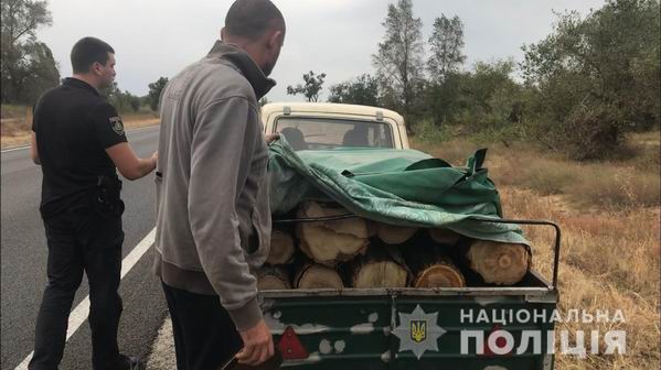 Незаконная вырубка леса в Олешковском районе Херсонской области