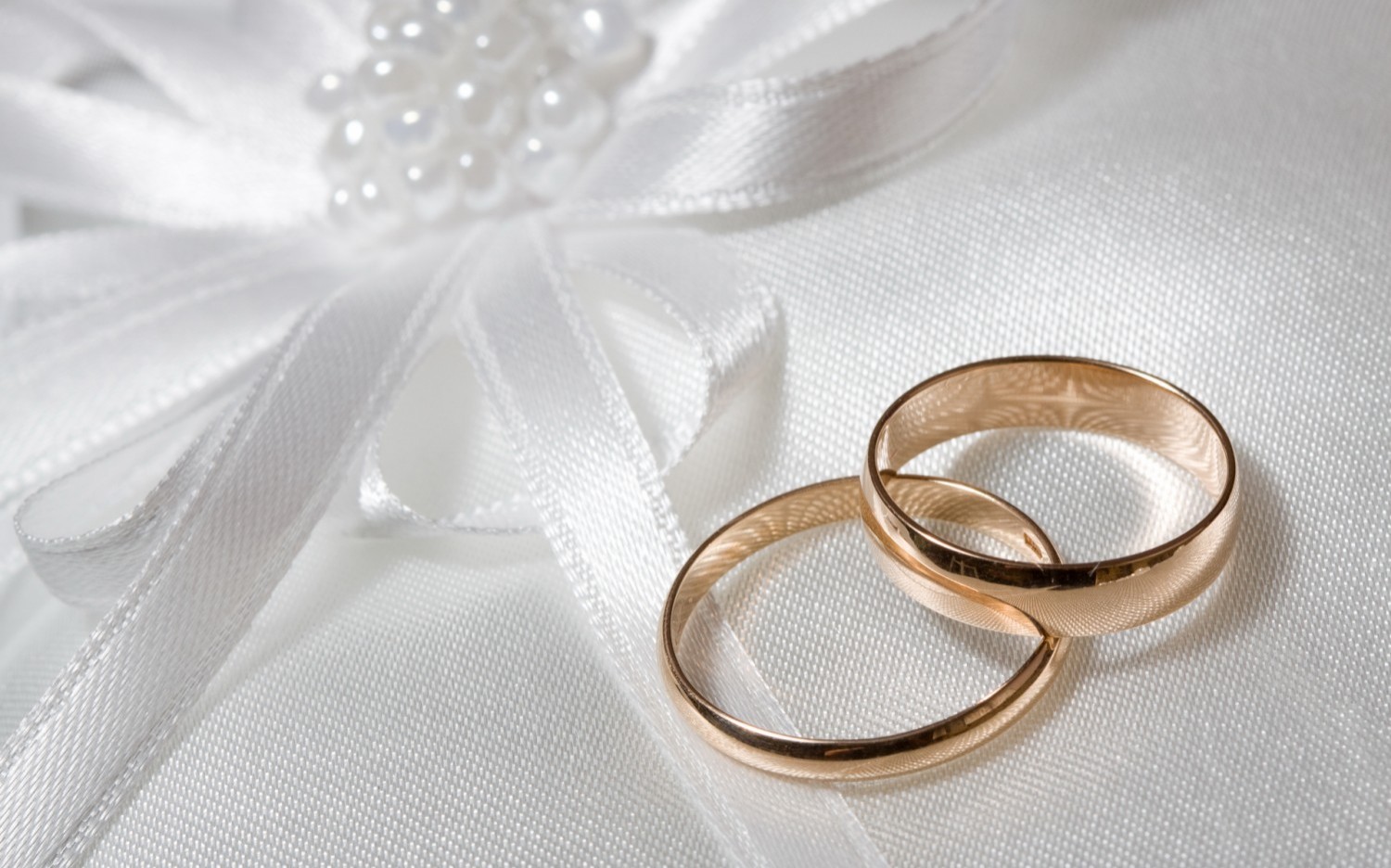 Новость В Херсоне набирает популярность проект «Брак за сутки»