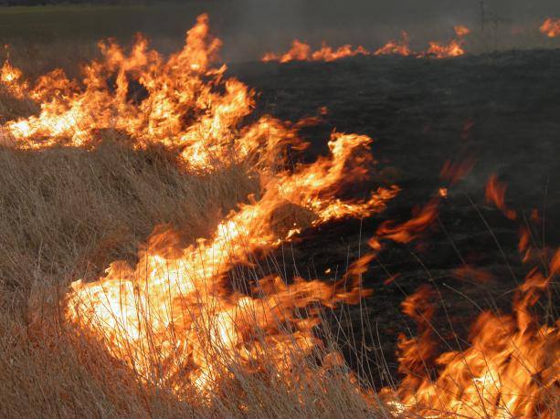 Новость За выходные дни на Херсонщине произошло 76 пожаров