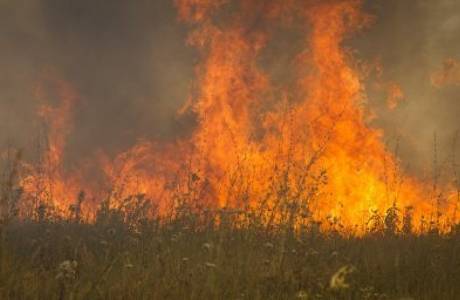 Новость Новокаховчане «греются»  пожарами
