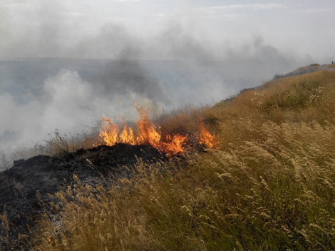 Новость На Херсонщине случилось 2 пожара на открытой территории